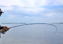 Redfish Fly-fishing Situation – Hai Truong shared this Interesting Image in Fly dreamers 