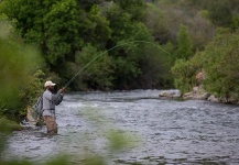 Scenic Rivers Fly Fishing 's Fly-fishing Catch of a Rainbow trout – Fly dreamers 