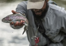 Scenic Rivers Fly Fishing 's Fly-fishing Picture of a Rainbow trout – Fly dreamers 