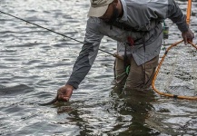 Scenic Rivers Fly Fishing 's Fly-fishing Picture of a Rainbow trout – Fly dreamers 