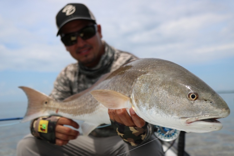 Good friend Gus with another close up of his largest ever redfish &amp; on 6wt. Congrats on the 31" caught in the Florida Keys. 