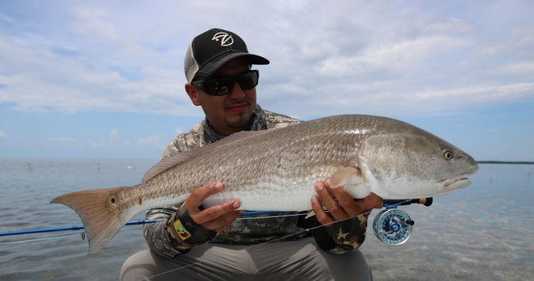 Another shot of the 31" red on 6wt in the Florida Keys. 