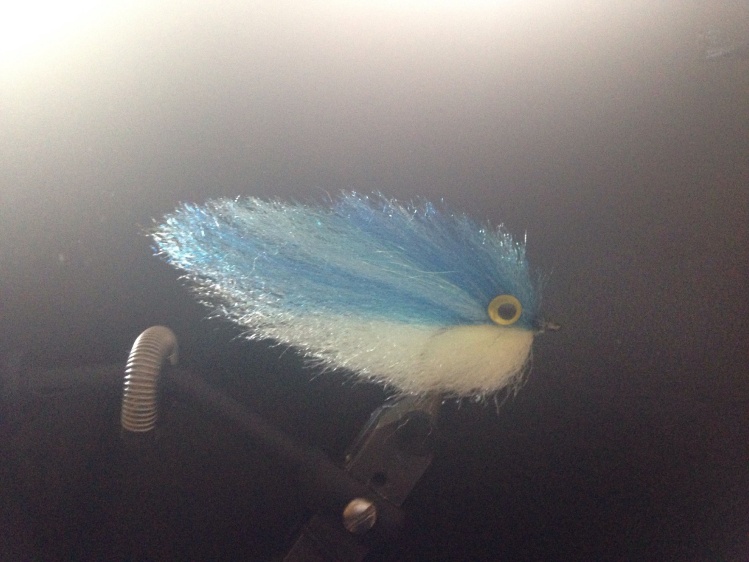 Attempting some baitfish patterns for upcoming Roosterfish trip