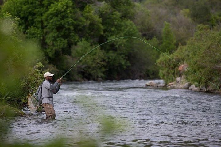 Scenic Rivers Fly Fishing 's Fly-fishing Catch of a Rainbow trout – Fly ...