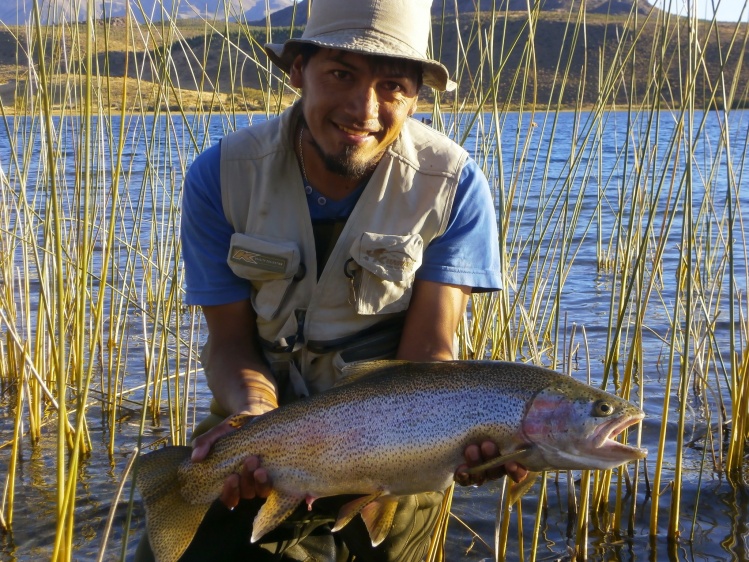 Laguna Willimanco, algunas fotos de esta temporada.