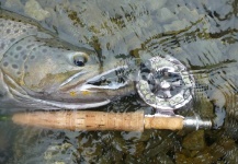 John Roberts 's Fly-fishing Photo of a Brown trout – Fly dreamers 