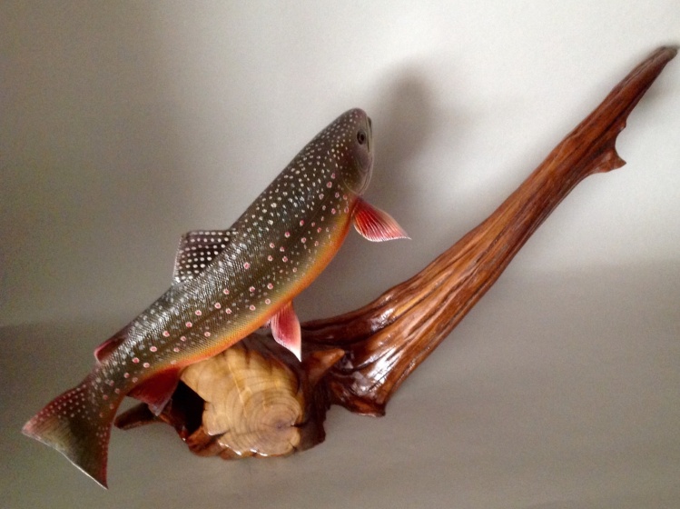#its_a_wiley, 13 inch Dolly Varden Presented on river driftwood.