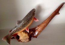 Impressive Fly-fishing Art Pic shared by Jim Wiley 