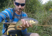  Foto de Pesca con Mosca de Chub por Henrik Megyer – Fly dreamers 