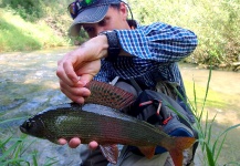 Fly-fishing Picture of Grayling shared by Jure Ušeničnik Schifferstein – Fly dreamers