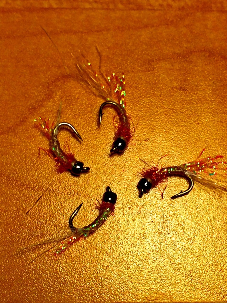 Ready for backcountry Brookies