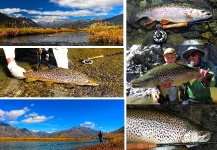 Great Fly-fishing Situation of Brown trout - Picture shared by Martin Langlands – Fly dreamers