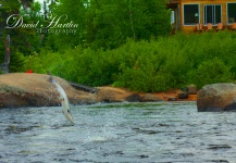 David Hartlin 's Fly-fishing Picture of a Grilt | Fly dreamers 