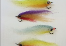 Fly for Peacock Bass by Patrick Pendergast – Fly dreamers 