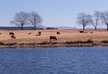 midlands, KZN, South Africa