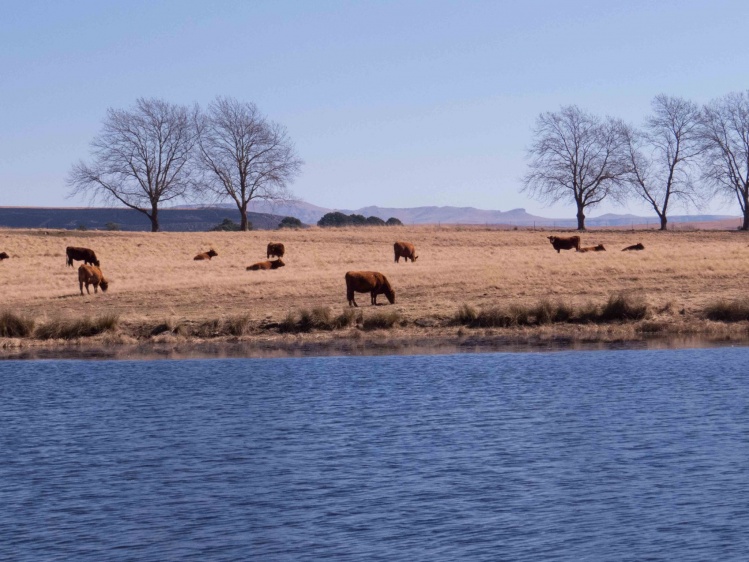 midlands, KZN, South Africa