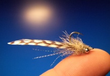 Carlos Estrada 's Fly-tying for Rainbow trout - Pic – Fly dreamers 