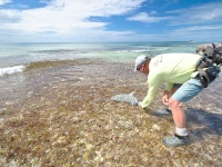 Fly fishing picture