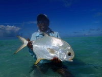 Fly fishing picture