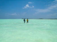 Foto de pesca con mosca