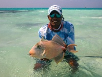 Fly fishing picture