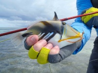 Foto de pesca con mosca