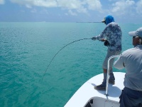 Foto de pesca con mosca