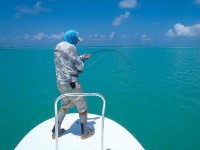 Foto de pesca con mosca