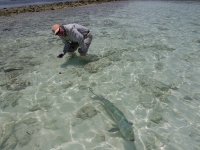 Foto de pesca con mosca