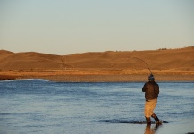  Sea-Trout (Trucha Marrón Anádroma) – Excelente Situación de Pesca con Mosca – Por Rodrigo Andrade Bussard