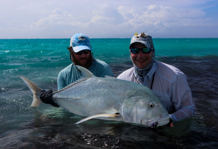 Alphonse Island Fishing News: 7 – 14 Feb 15 -  Flats Slam!