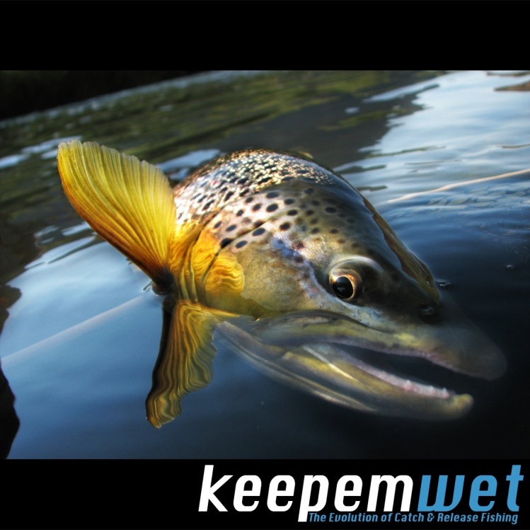 The Keepemwet website is finally live! Please take a look and let us know what you think! #keepemwet