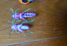  Mira esta Excelente fotografía de atado de moscas de Adelson Boi
