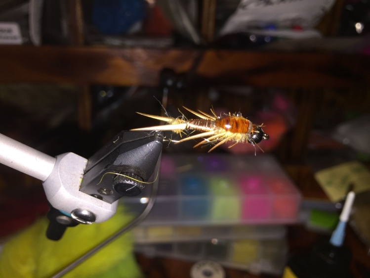 Stonefly. I am trying to start my own business of fly tying. Not trying to get rich just really enjoy it.