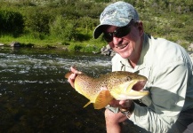 Summer Yampa Brownie