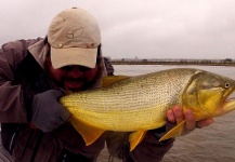 Dario Arrieta 's Fly-fishing Image of a Golden Dorado – Fly dreamers 