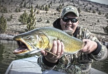 Mountain Made Media 's Fly-fishing Picture of a Rocky mountain trout – Fly dreamers 