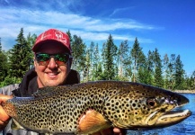 Fly-fishing Picture of Brown trout shared by Alexander Lexén – Fly dreamers