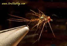 Andrew Fowler 's Fly-tying for Brown trout - Photo – Fly dreamers 