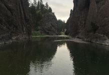  Situación de Pesca con Mosca de Trucha de arroyo o fontinalis – Imagen por Eric Schmitz en Fly dreamers