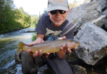 Fly-fishing Photo of Yellowstone cutthroat shared by Luke Alder – Fly dreamers 