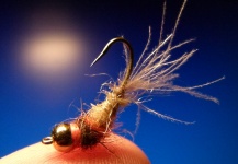 Fly-tying for Rainbow trout - Image by Carlos Estrada 