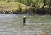 Good Fly-fishing Situation of Brown trout shared by Santiago Miraglia 