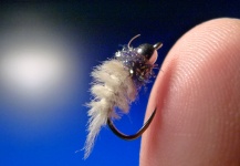 Fly-tying for Rainbow trout - Picture by Carlos Estrada 