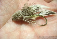  Muddler minnow