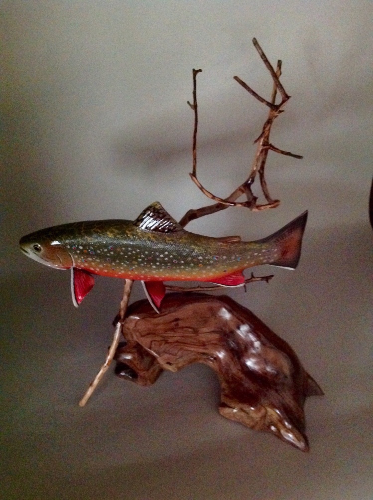 #its_a_wiley, 10 inch Brook Trout