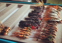 Nicolas Steckinger 's Fly for Sea-Trout - Pic – Fly dreamers 