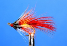 Lawrence Finney 's Fly for Atlantic salmon - – Fly dreamers 