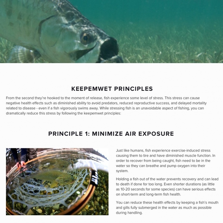 1 of 3 Keepemwet Principles:
keepemwet.org