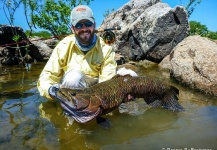 Breno Ballesteros 's Fly-fishing Pic of a Wolf Fish – Fly dreamers 